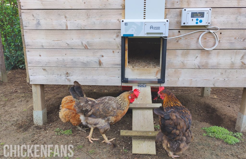 the ChickenGuard All-in-One chicken coop door