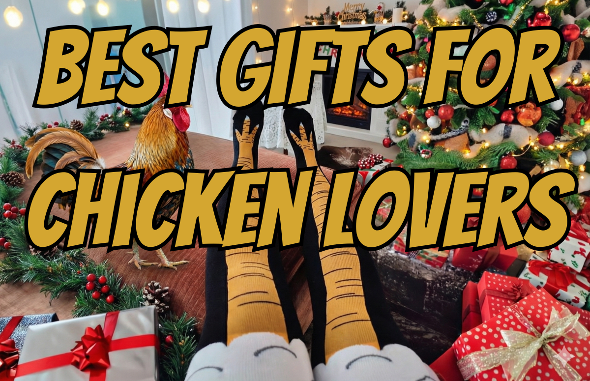 Best Gifts For Chicken Lovers