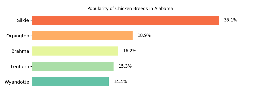 Most Popular Chicken Breeds in Every U.S. State in 2024