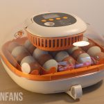 the chickcozy incubator
