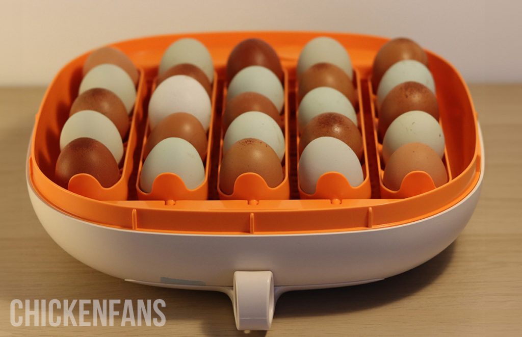 an overview of the bottom part of the chickcozy egg incubator