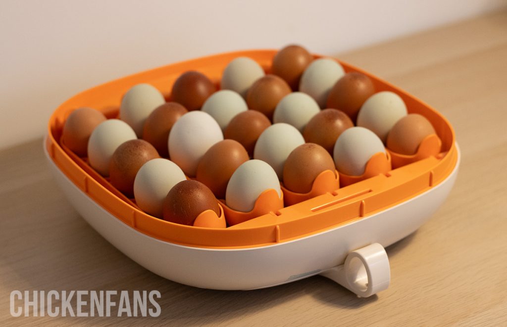 a close up of the chickcozy egg incubator