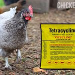 tetracycline for chickens