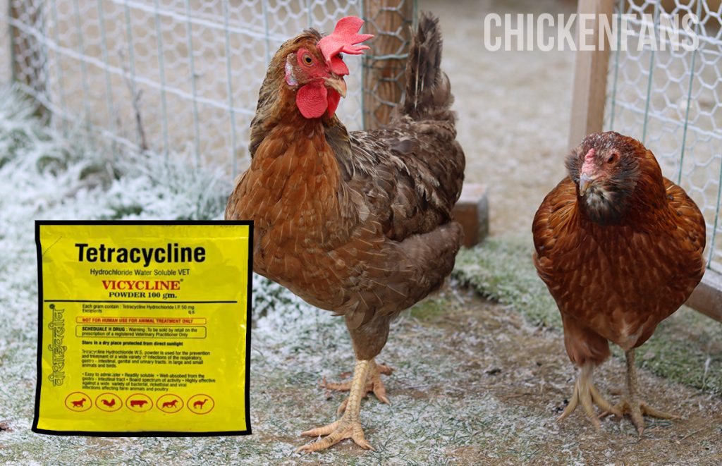 tetracycline for chickens