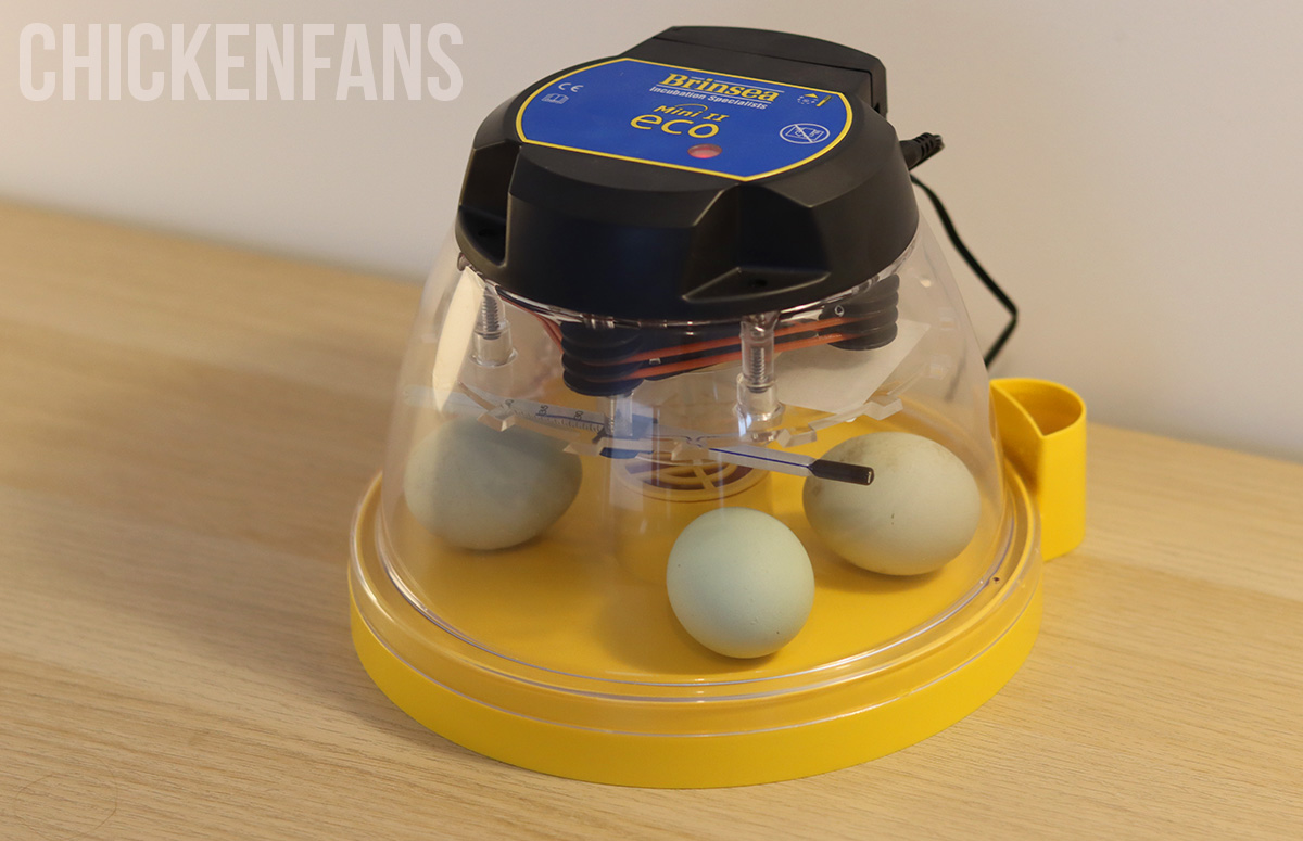Brinsea Egg Incubator: Review (2024)