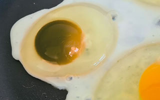 Black egg yolk