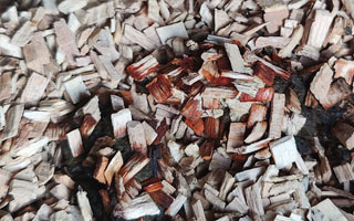 Blood in droppings