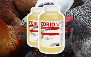 Corid for chickens