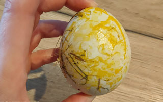 Egg eating