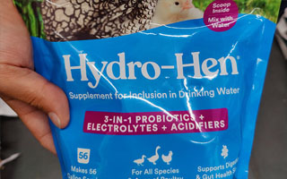 Probiotics for Chickens