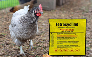 tetracycline