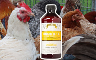 Vitamin B12