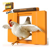 Chickcozy door