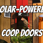 best solar-powered chicken coop doors
