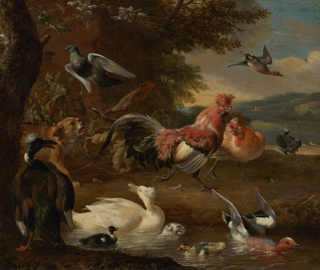  Chickens and Ducks (ca. 1660-90), oil on canvas