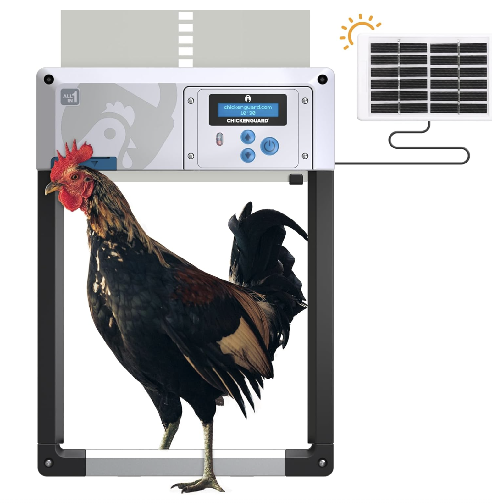 ChickenGuard