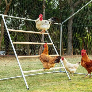 Petsfit square chicken roosting perch